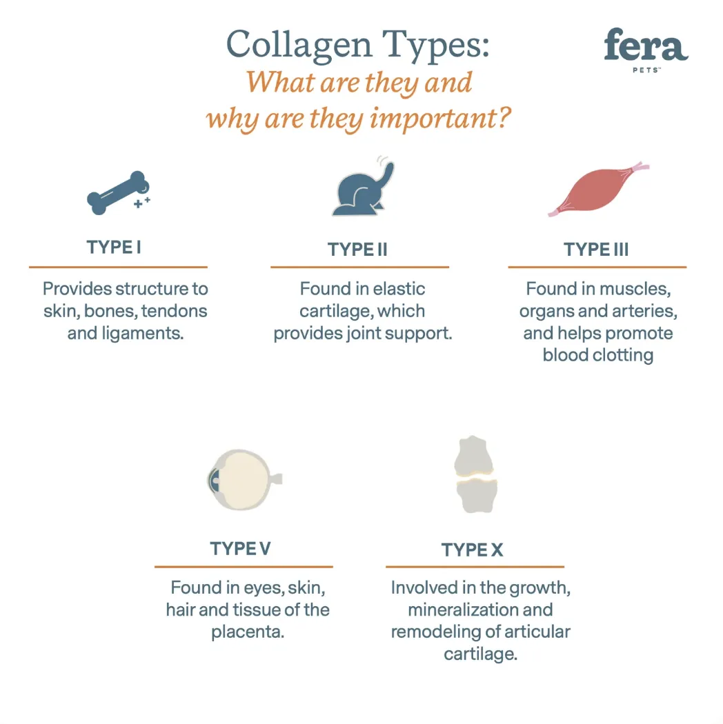 Fera Collagen Plus for Dogs and Cats