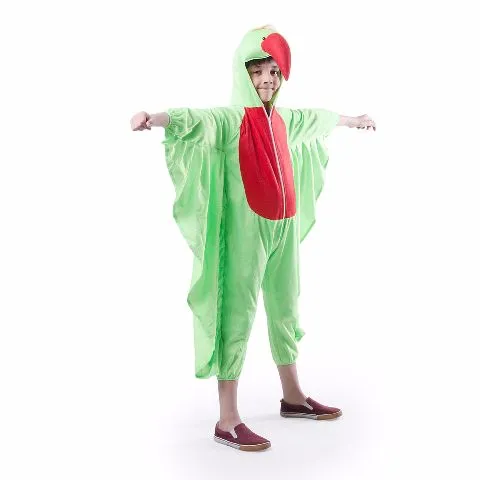 Parrot Costume For Kids