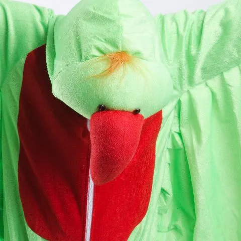 Parrot Costume For Kids