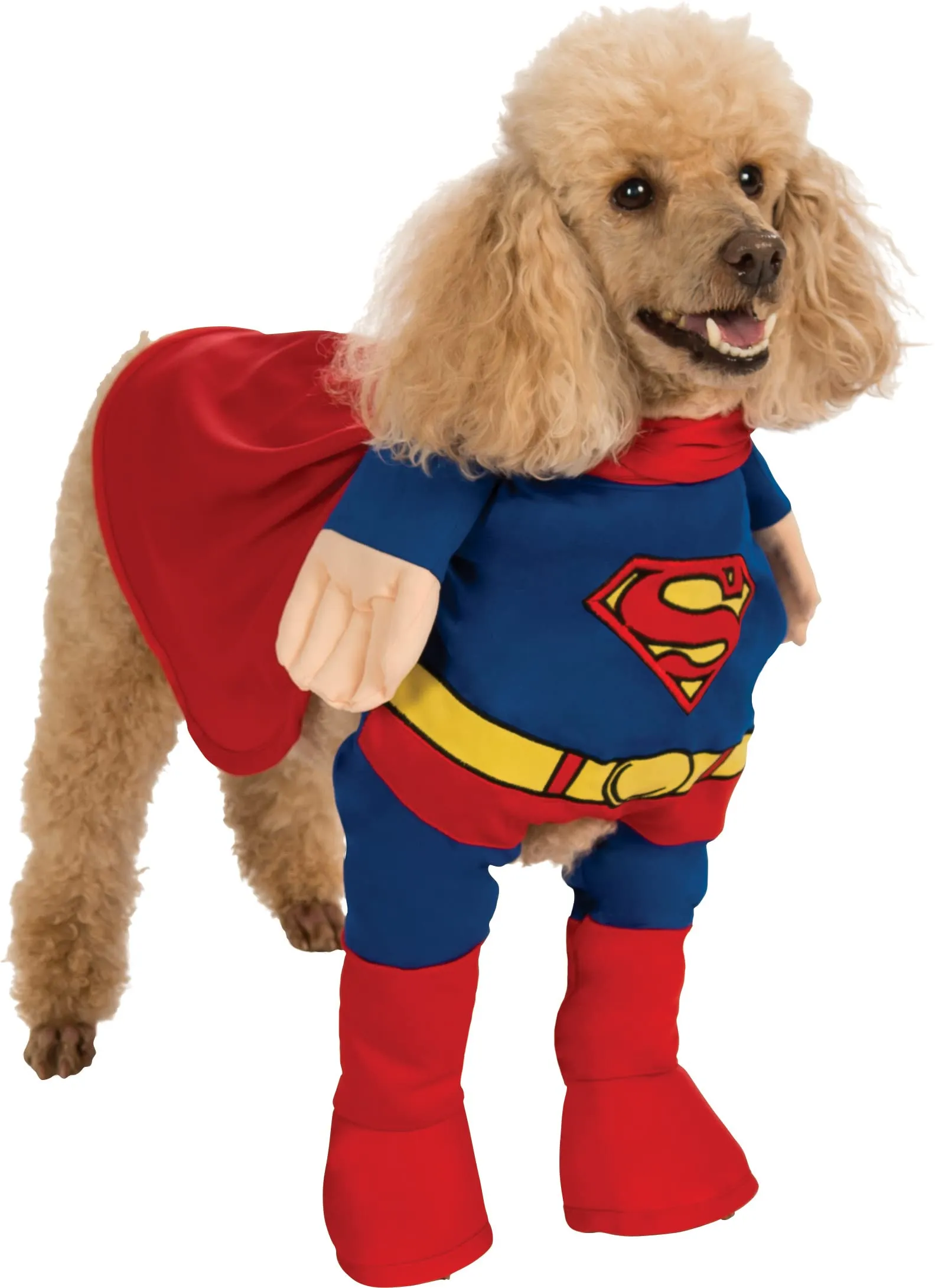 Pets DC Comics Superman Costume