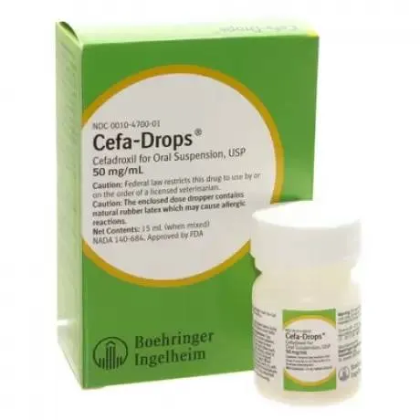 Rx Cefa Drops, 50mg/ml x 15ml