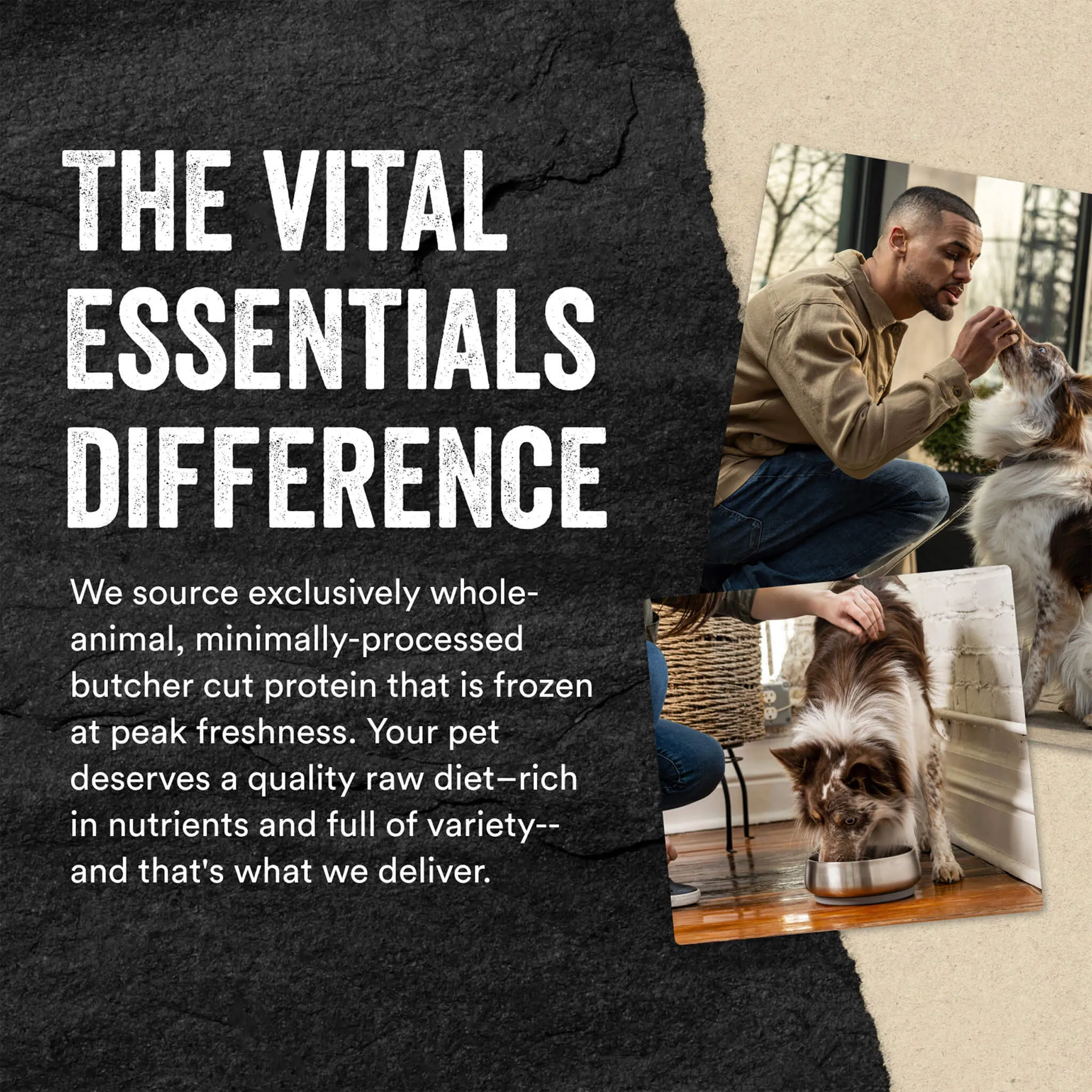 Vital Essentials Freeze-Dried Raw Protein Mix-In Mini Nibs for Dogs